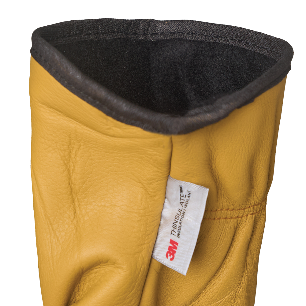 Light Brown 3M™ Thinsulate™-Lined Leather Driver Glove WG08 Feature image